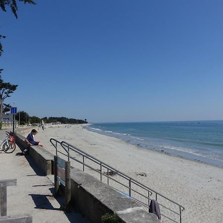 Appartement Neuf 2-4 Pers, Terrasse Et Jardin, A 400M De La Plage Du Rohaliguen - Fr-1-639-35 Sarzeau Buitenkant foto